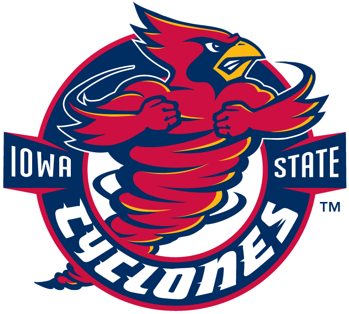Iowa State Cyclones 1995-2007 Alternate Logo iron on transfers for clothing